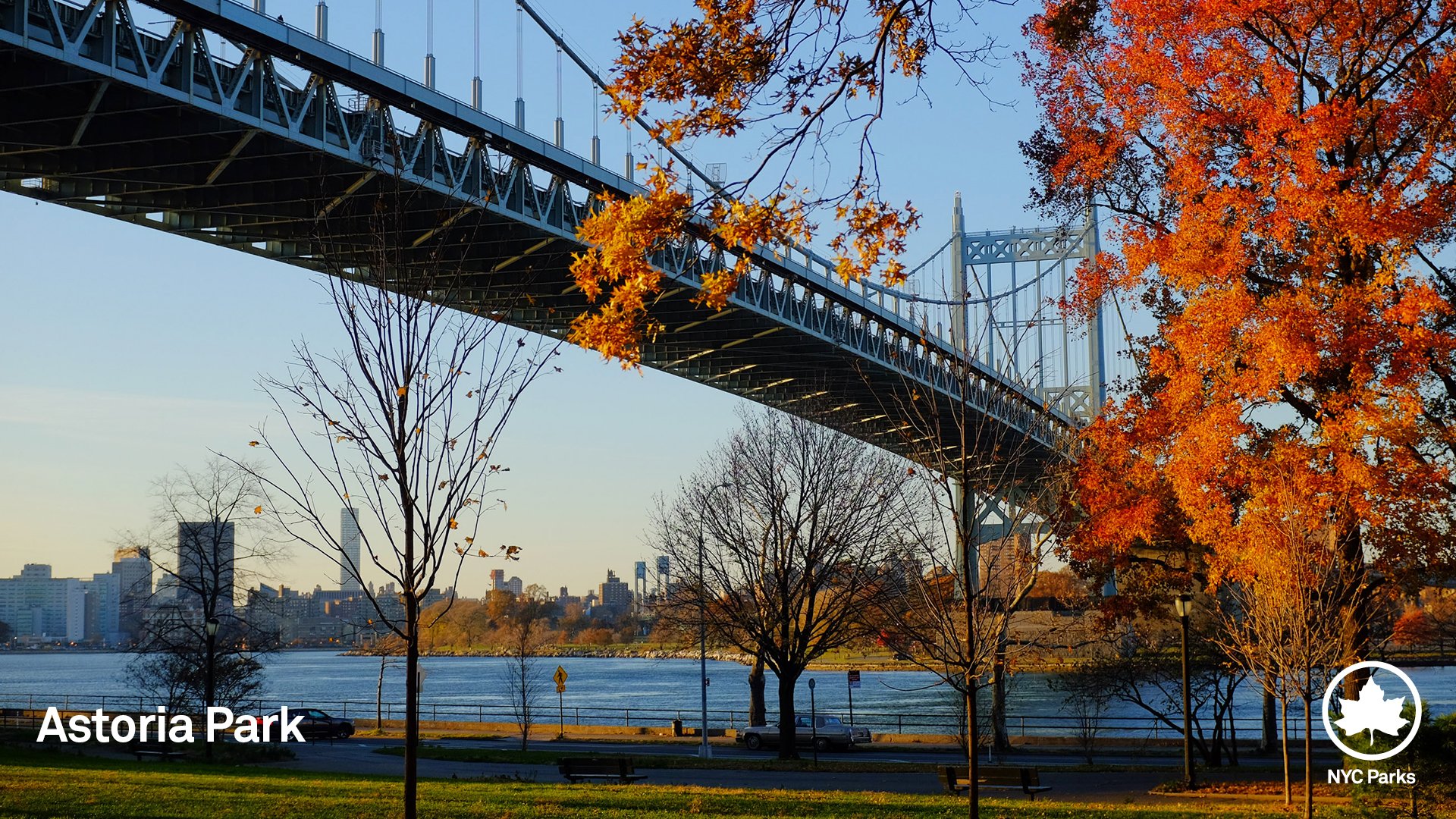 View of Astoria Park with fall foliage and bridge